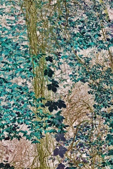 N 011B